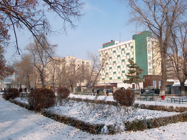 Photograph